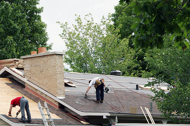 Roof Gutter Cleaning in Oakwood, GA