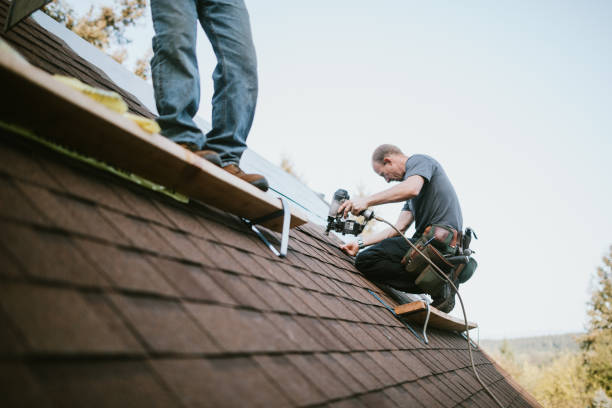 Best Gutter Installation and Roofing  in Oakwood, GA